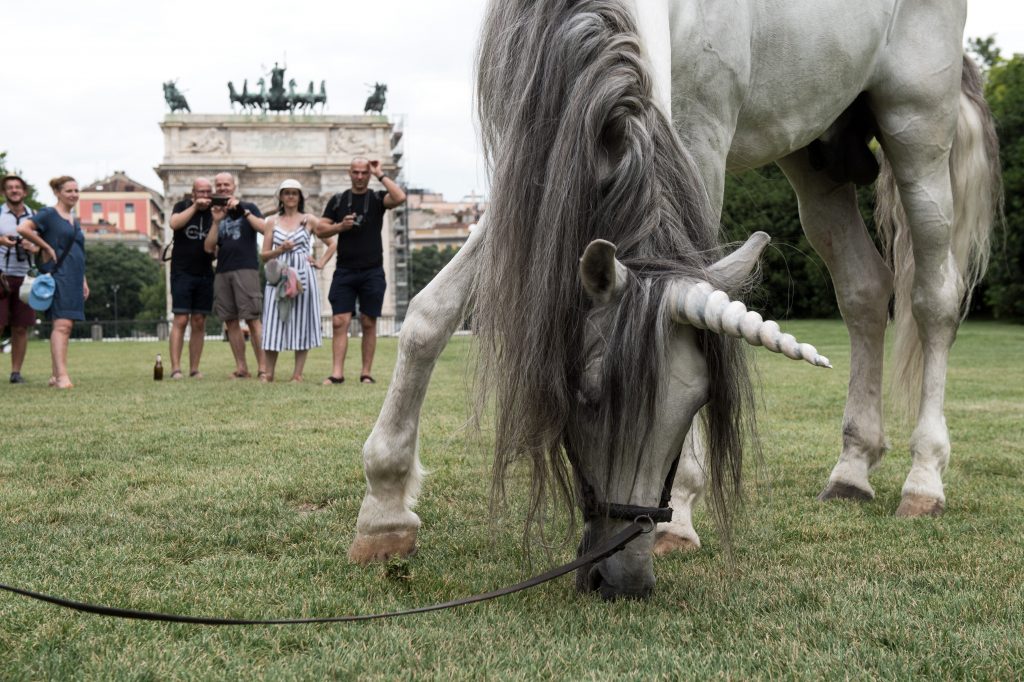 Avvistato un unicorno in centro a Milano – VIDEO