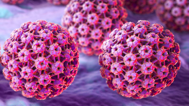Papilloma virus (HPV): come accedere gratuitamente al vaccino